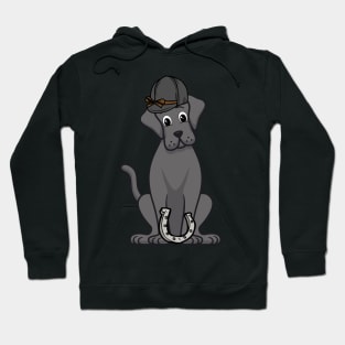 Funny big dog is ready to ride a horse Hoodie